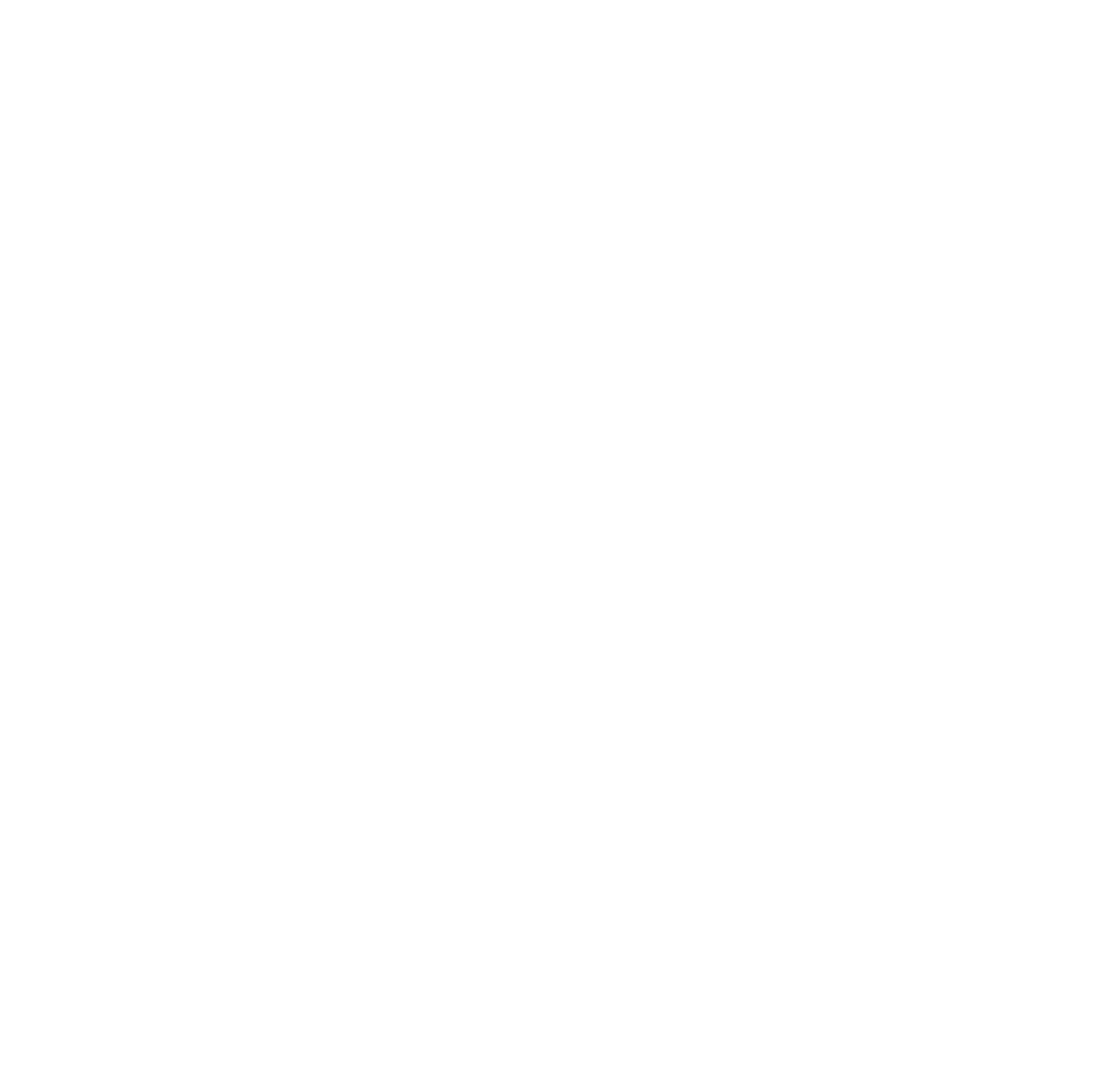 EXPAT-EXPERTLOGO-WHITE